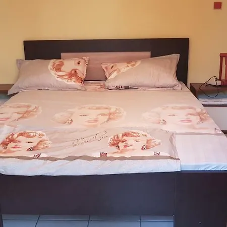 Guest house Dvete Brezi 3*