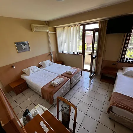 Guest house Dvete Brezi 3*