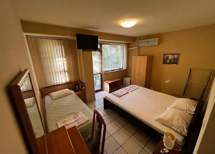 Dvete Brezi Pensionat 3*