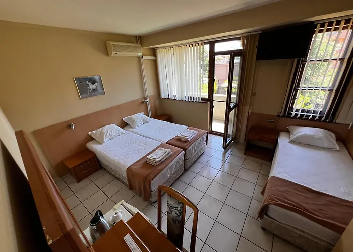 Pensionat Dvete Brezi 3*